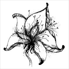 Graphic hand drawn vector flower