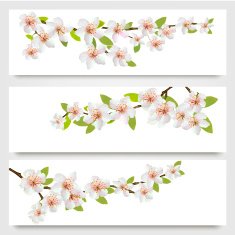 Three sakura branches banners Vector