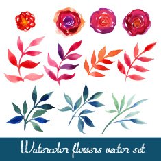 Set of beautiful watercolor flowers N3