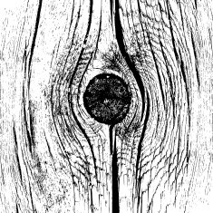 Wooden texture background Realistic plank N3