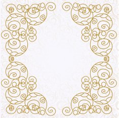 card 19 N2