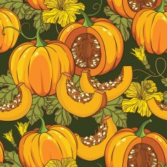 Vector botanical pattern with isolated pumpkins flowers and leaves N4