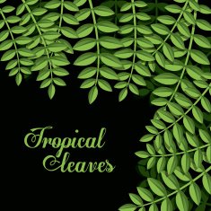 Tropical leaves design N3