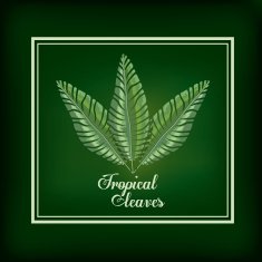 Tropical leaves design N5