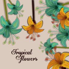 Tropical flowers design N4