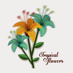 Tropical flowers design N6