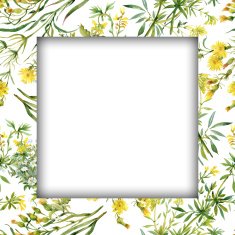 Watercolor flower frame on white background