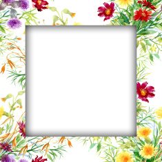 Watercolor flower frame on white background N20