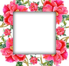 Watercolor flower frame on white background N29