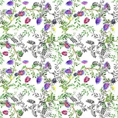 Wild flowers seamless pattern on white background N2