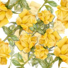Floral colorful roses flowers pattern on white background N2