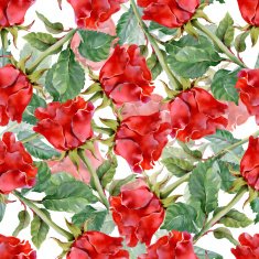 Floral colorful roses flowers pattern on white background N3