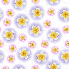 Background of tropical flowers plumeria N2