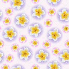 Background of tropical flowers plumeria N3
