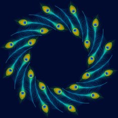 Vector peacock feathers on blue background