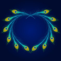 Vector peacock feathers on blue background N2