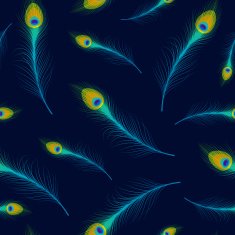 Vector seamless background with peacock feathers