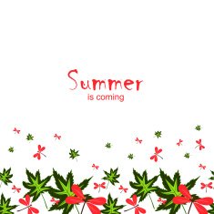 summer is coming-2