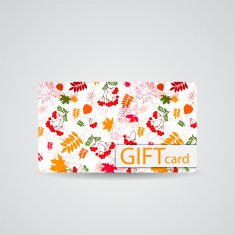 Abstract Beautiful Gift Card Design Vector Illustration N4