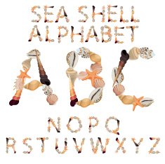 Alphabet made of different sea shells N2