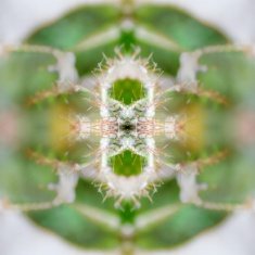 Green abstract background N21