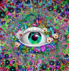 Human eye on colored creative background N2