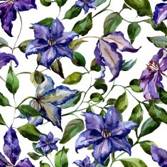 Clematis flower pattern N3