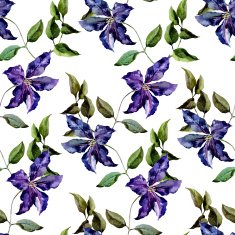 Clematis flower pattern N4