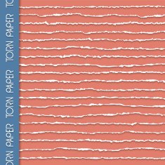 Vector background of torn paper