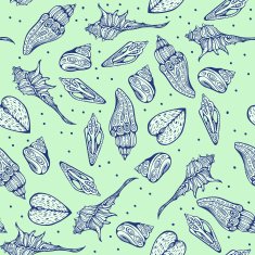 pattern element of various sea shells