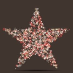 Mechanic Star Network Mesh