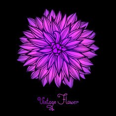 Bright Dahlia Flower Isolated for design