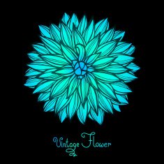 Bright Dahlia Flower Isolated for design N2