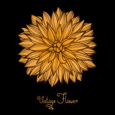 Bright Dahlia Flower Isolated for design N3