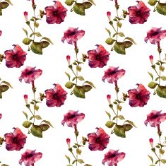 Petunia flower pattern N3