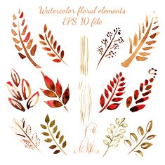 Watercolor flowers and leaves elements