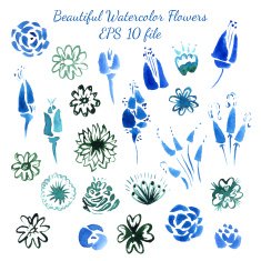 Watercolor flowers and leaves elements N2