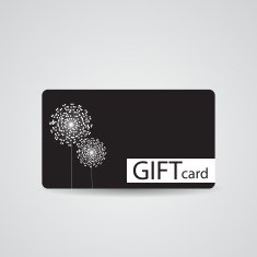 Abstract Beautiful Gift Card Design Vector Illustration N91