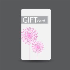 Abstract Beautiful Gift Card Design Vector Illustration N95