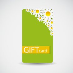 Abstract Beautiful Gift Card Design Vector Illustration N99