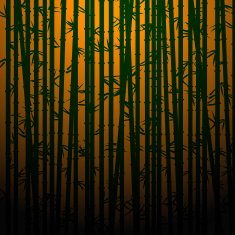 Bamboo N14