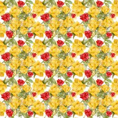 Floral colorful roses flowers pattern on white background N11