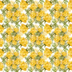 Floral colorful roses flowers pattern on white background N12