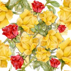 Floral colorful roses flowers pattern on white background N13