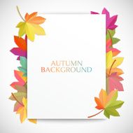 Autumn background Vector illustration N21