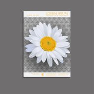 Book cover N4