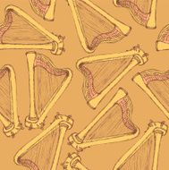 Sketch harp musical instrument in vintage style