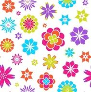Colorful flower pattern N4