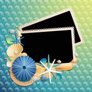 Pictures shells and starfishes on wave pattern