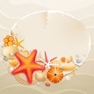 Vintage greeting card with shells N2